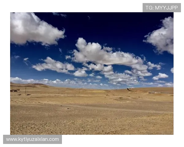 开云现金开户后如何管理账户，提升资金安全与使用效率的方法