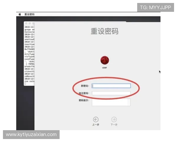 开云官方官网登陆入口账号密码重置流程，帮助用户快速找回登录权限